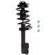 Purchase Top-Quality PRT - 818304 - Front Complete Strut Assembly pa1