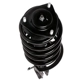 Purchase Top-Quality PRT - 818304 - Front Complete Strut Assembly pa3