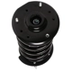 Purchase Top-Quality PRT - 818307 - Suspension Strut and Coil Spring Assembly pa1