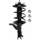Purchase Top-Quality Front Complete Strut Assembly by PRT - 818309 pa1