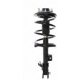 Purchase Top-Quality Front Complete Strut Assembly by PRT - 818320 pa1