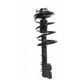 Purchase Top-Quality Front Complete Strut Assembly by PRT - 818320 pa2