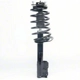 Purchase Top-Quality Front Complete Strut Assembly by PRT - 818341 pa2