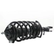 Purchase Top-Quality PRT - 818342 - Suspension Strut and Coil Spring Assembly pa2