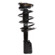 Purchase Top-Quality PRT - 818671 - Suspension Strut and Coil Spring Assembly pa2