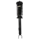 Purchase Top-Quality PRT - 818675 - Front Driver or Passenger Side Suspension Strut and Coil Spring Assembly pa1