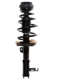 Purchase Top-Quality PRT - 818691 - Suspension Strut and Coil Spring Assembly pa2