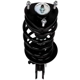 Purchase Top-Quality PRT - 818891 - Front Complete Strut Assembly pa3