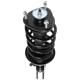 Purchase Top-Quality PRT - 818904 - Suspension Strut and Coil Spring Assembly pa3