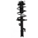 Purchase Top-Quality Front Complete Strut Assembly by PRT - 818905 pa1