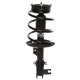 Purchase Top-Quality PRT - 818907 - Suspension Strut and Coil Spring Assembly pa1
