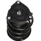 Purchase Top-Quality PRT - 818908 - Suspension Strut and Coil Spring Assembly pa3