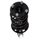 Purchase Top-Quality PRT - 818920 - Suspension Strut and Coil Spring Assembly pa3