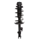 Purchase Top-Quality PRT - 818987 - Suspension Strut and Coil Spring Assembly pa1