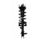 Purchase Top-Quality Front Complete Strut Assembly by PRT - 819345 pa1