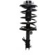 Purchase Top-Quality PRT - 819574 - Suspension Strut and Coil Spring Assembly pa1