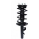 Purchase Top-Quality Front Complete Strut Assembly by PRT - 819790 pa1