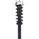 Purchase Top-Quality Front Complete Strut Assembly by PRT - 920115 pa1