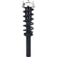 Purchase Top-Quality Front Complete Strut Assembly by PRT - 920115 pa3