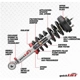 Purchase Top-Quality RANCHO - RS999935 - Front Complete Strut Assembly pa10