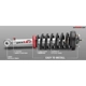 Purchase Top-Quality Front Complete Strut Assembly by RANCHO - RS999907 pa4