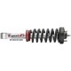 Purchase Top-Quality Front Complete Strut Assembly by RANCHO - RS999919 pa2