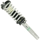 Purchase Top-Quality SENSEN - 9213-0053 - Suspension Strut and Coil Spring Assembly pa1