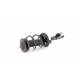 Purchase Top-Quality Front Complete Strut Assembly by UNITY AUTOMOTIVE - 11102 pa1
