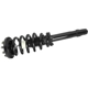 Purchase Top-Quality Front Complete Strut Assembly by UNITY AUTOMOTIVE - 11823 pa1