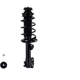 Purchase Top-Quality WORLDPARTS STRUTS - W1335383L - Front Complete Strut Assembly pa2