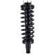 Purchase Top-Quality WORLDPARTS STRUTS - W1336324 - Front Complete Strut Assembly pa3