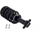 Purchase Top-Quality WORLDPARTS STRUTS - W4355037 - Front Complete Strut Assembly pa2