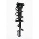 Purchase Top-Quality Front Complete Strut Assembly by WORLDPARTS STRUTS - W1331601L pa1