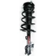 Purchase Top-Quality Front Complete Strut Assembly by WORLDPARTS STRUTS - W1331626L pa1