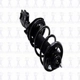 Purchase Top-Quality Front Complete Strut Assembly by WORLDPARTS STRUTS - W1331665L pa9