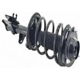 Purchase Top-Quality Front Complete Strut Assembly by WORLDPARTS STRUTS - W1331900L pa8