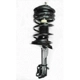 Purchase Top-Quality Front Complete Strut Assembly by WORLDPARTS STRUTS - W1332311L pa1