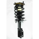 Purchase Top-Quality Front Complete Strut Assembly by WORLDPARTS STRUTS - W1332343 pa1