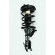 Purchase Top-Quality Front Complete Strut Assembly by WORLDPARTS STRUTS - W1332351L pa1