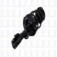 Purchase Top-Quality Front Complete Strut Assembly by WORLDPARTS STRUTS - W1333826L pa8