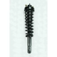 Purchase Top-Quality Front Complete Strut Assembly by WORLDPARTS STRUTS - W1335519R pa1