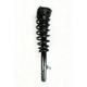 Purchase Top-Quality Front Complete Strut Assembly by WORLDPARTS STRUTS - W1335543L pa1