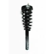 Purchase Top-Quality Front Complete Strut Assembly by WORLDPARTS STRUTS - W1335664 pa1