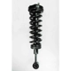 Purchase Top-Quality Front Complete Strut Assembly by WORLDPARTS STRUTS - W1336326 pa1
