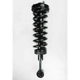 Purchase Top-Quality Front Complete Strut Assembly by WORLDPARTS STRUTS - W1336326 pa2