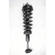 Purchase Top-Quality Front Complete Strut Assembly by WORLDPARTS STRUTS - W1336332 pa1