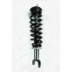 Purchase Top-Quality Front Complete Strut Assembly by WORLDPARTS STRUTS - W1336334 pa1