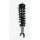 Purchase Top-Quality Front Complete Strut Assembly by WORLDPARTS STRUTS - W1336334 pa2