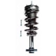 Purchase Top-Quality Front Complete Strut Assembly by WORLDPARTS STRUTS - W1345555 pa1