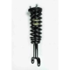 Purchase Top-Quality Front Complete Strut Assembly by WORLDPARTS STRUTS - W1345556 pa1